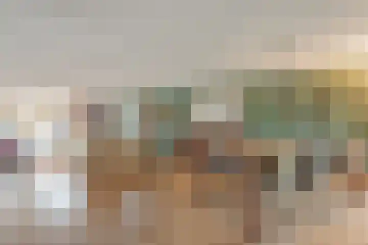 Het eenspan 29 Steenwijk thumbnail 10