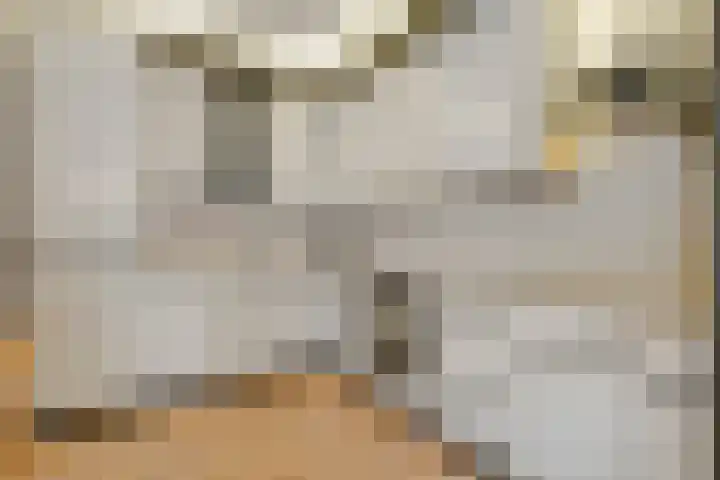 Het eenspan 29 Steenwijk thumbnail 12