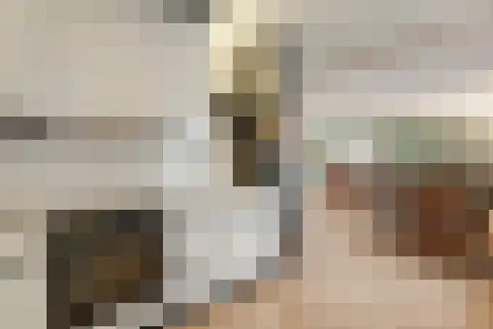 Het eenspan 29 Steenwijk thumbnail 13