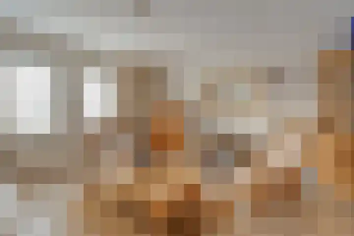 Het eenspan 29 Steenwijk thumbnail 16