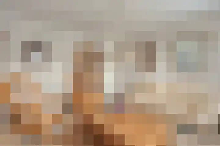 Het eenspan 29 Steenwijk thumbnail 17