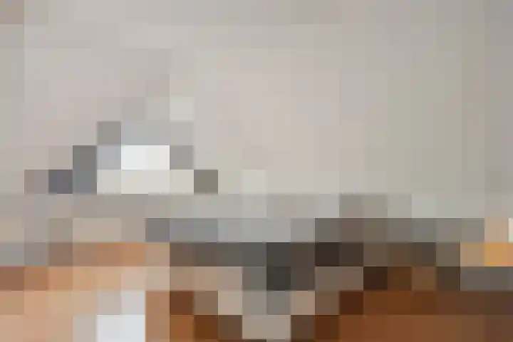Het eenspan 29 Steenwijk thumbnail 19