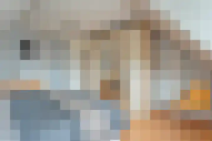 Het eenspan 29 Steenwijk thumbnail 20
