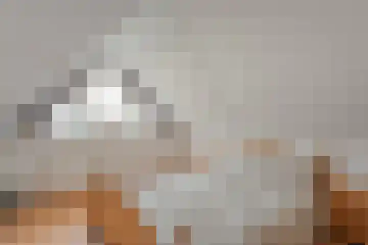 Het eenspan 29 Steenwijk thumbnail 21