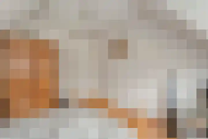 Het eenspan 29 Steenwijk thumbnail 22