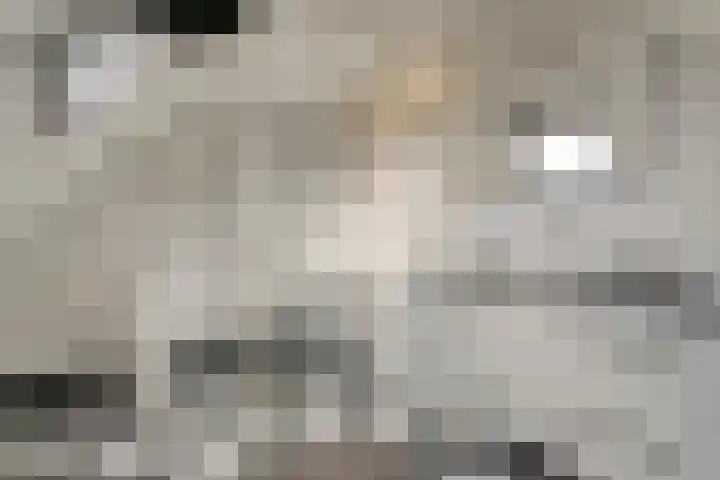 Het eenspan 29 Steenwijk thumbnail 25
