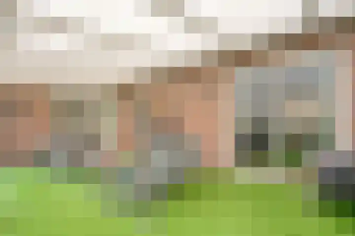 Het eenspan 29 Steenwijk thumbnail 28