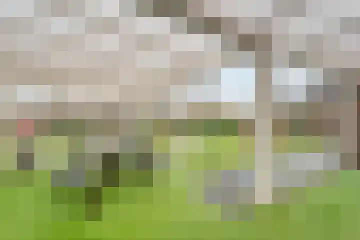 Het eenspan 29 Steenwijk thumbnail 29