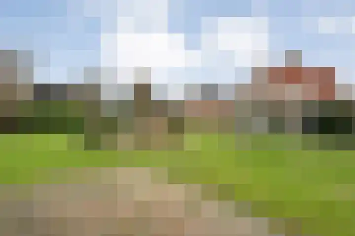 Het eenspan 29 Steenwijk foto 3