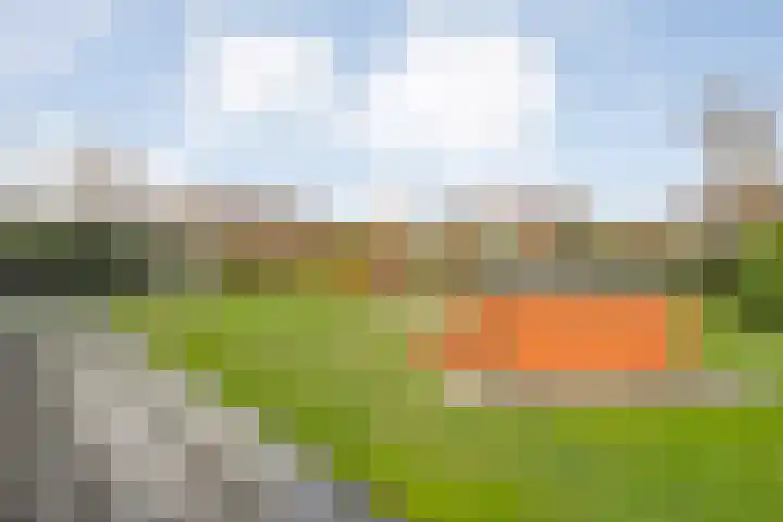 Het eenspan 29 Steenwijk thumbnail 30