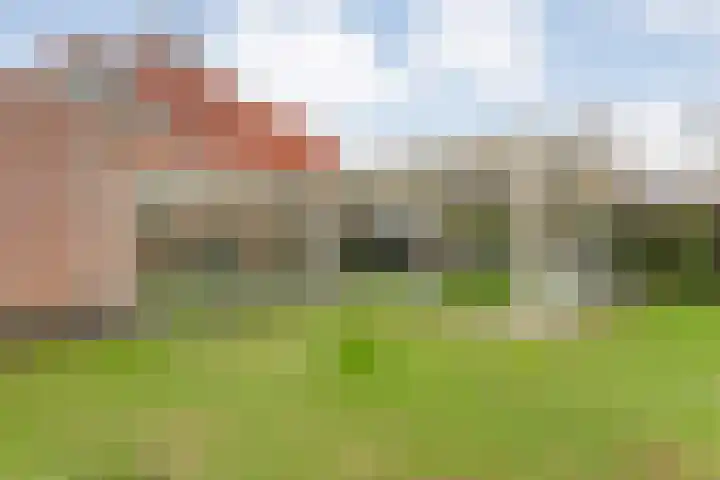 Het eenspan 29 Steenwijk thumbnail 31