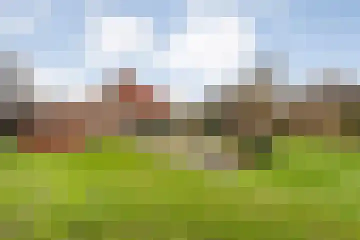 Het eenspan 29 Steenwijk thumbnail 32