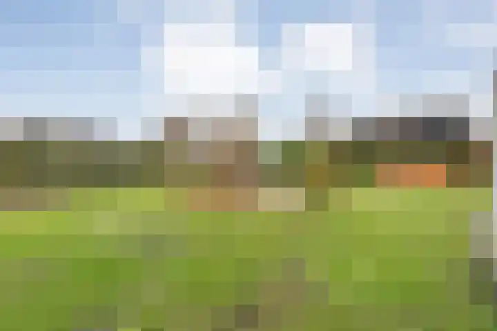 Het eenspan 29 Steenwijk thumbnail 33