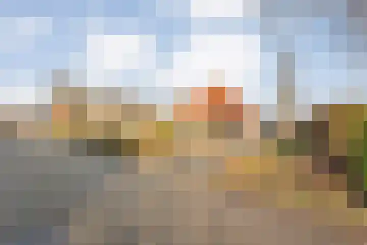 Het eenspan 29 Steenwijk thumbnail 34
