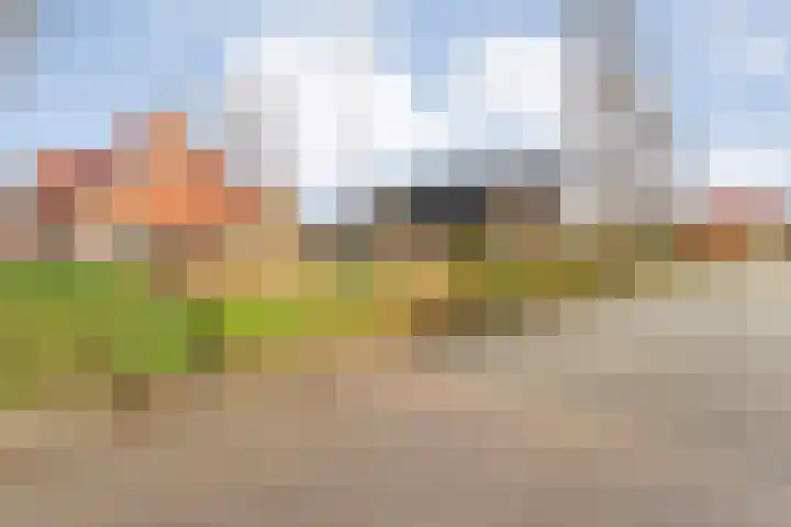 Het eenspan 29 Steenwijk thumbnail 35