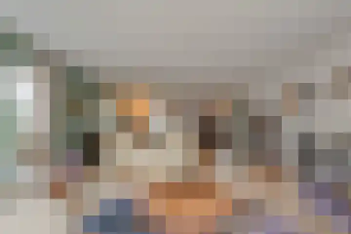 Het eenspan 29 Steenwijk thumbnail 5