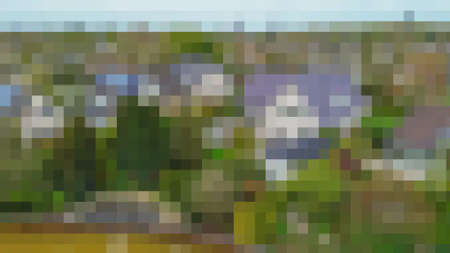 Het eenspan 4 Steenwijk