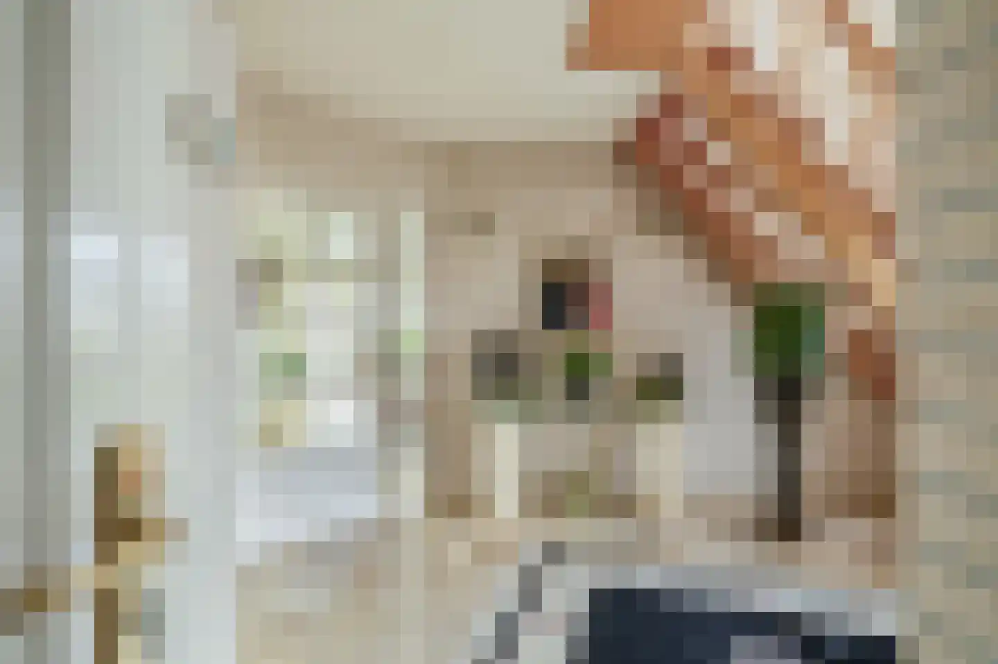 Het eenspan 4 Steenwijk thumbnail 10