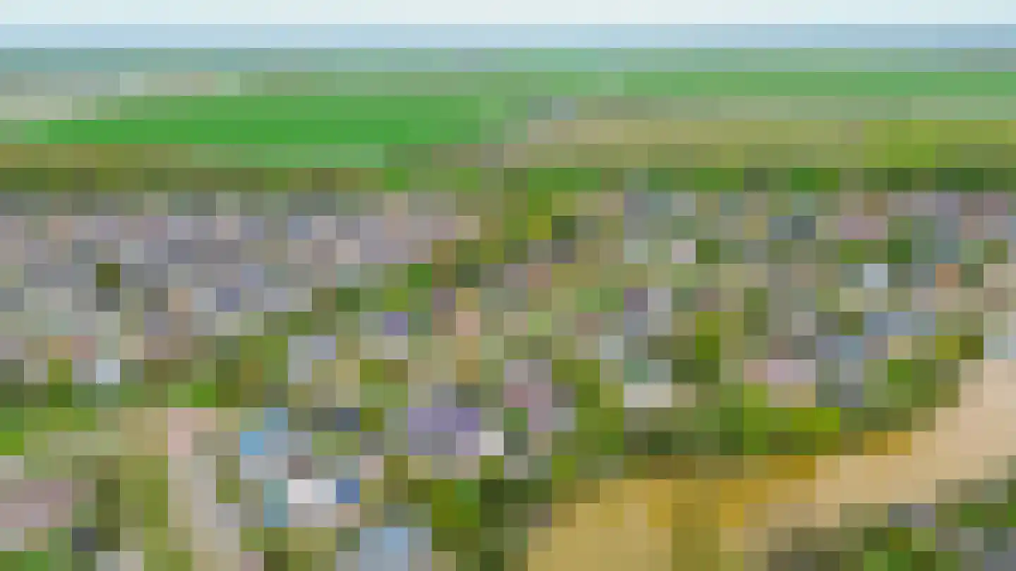 Het eenspan 4 Steenwijk thumbnail 100
