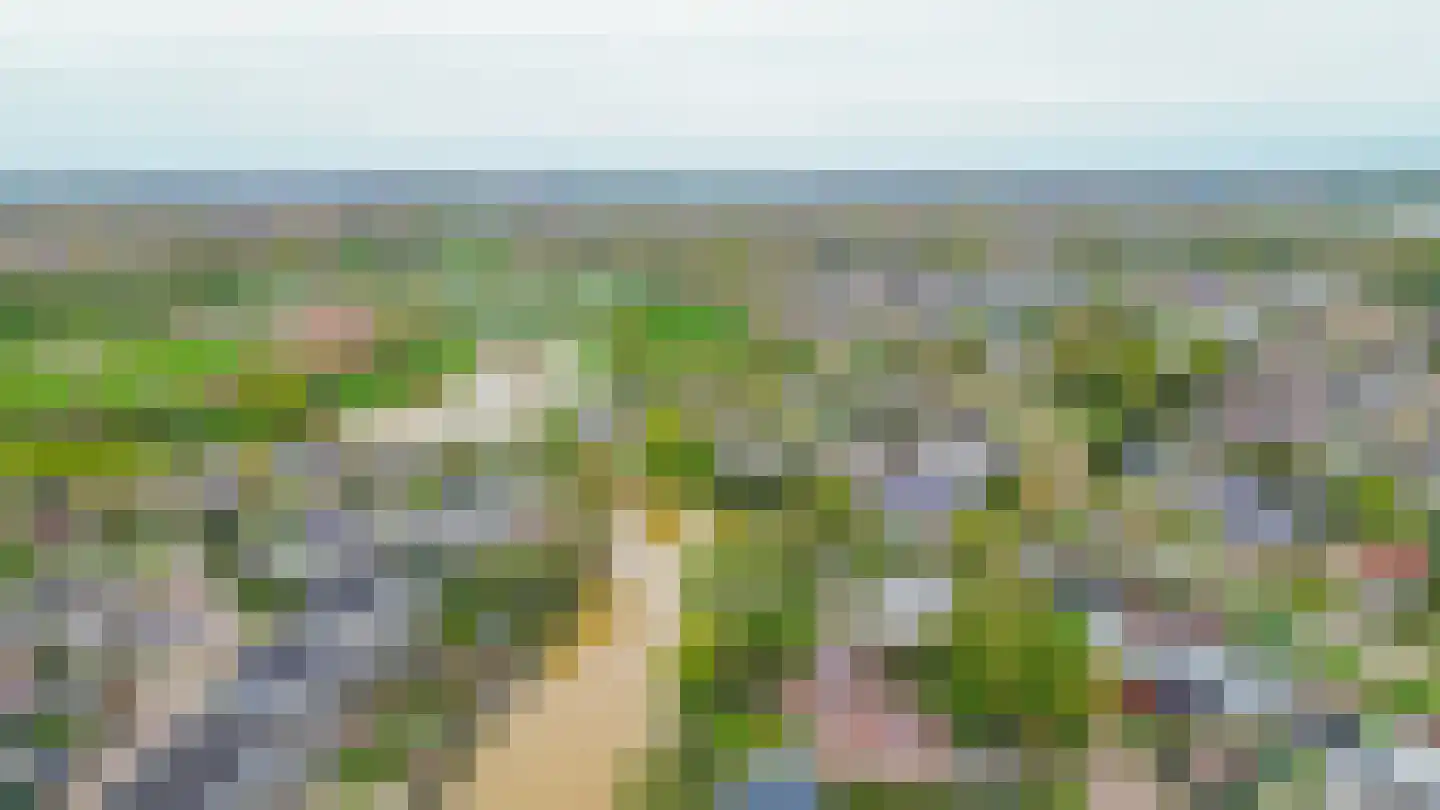 Het eenspan 4 Steenwijk thumbnail 101