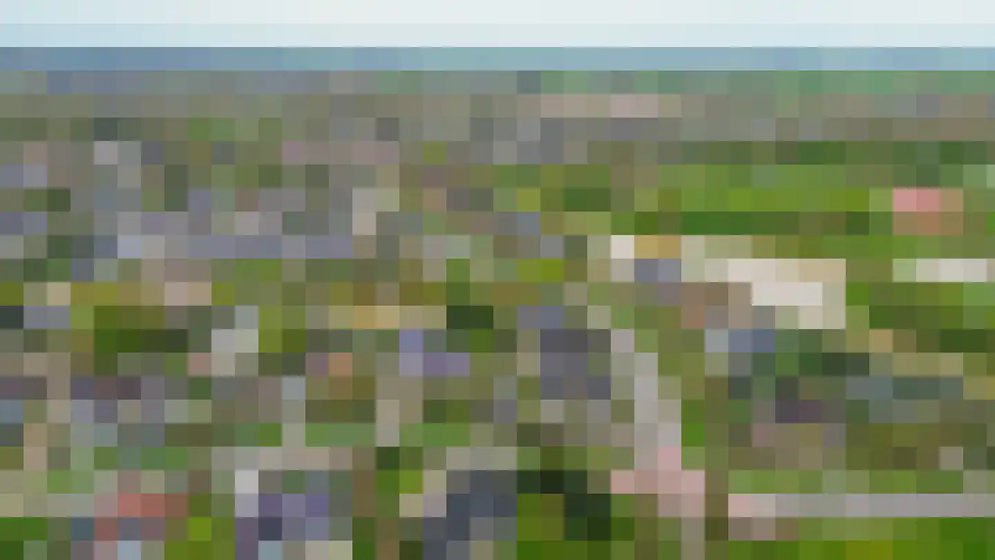 Het eenspan 4 Steenwijk thumbnail 102