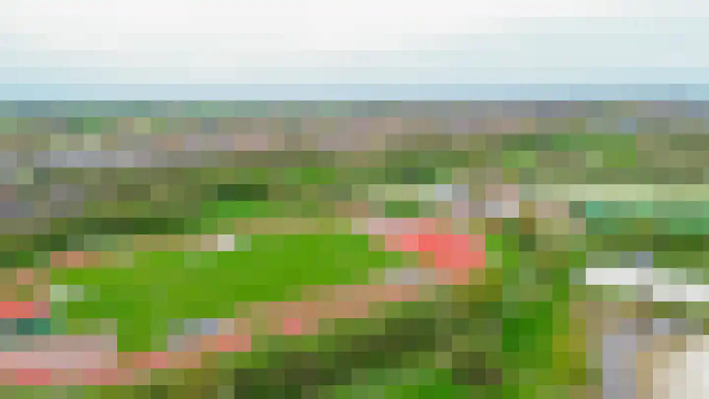 Het eenspan 4 Steenwijk thumbnail 103