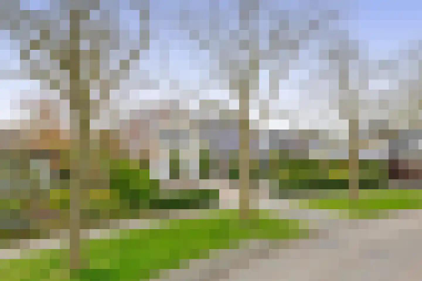 Het eenspan 4 Steenwijk thumbnail 105