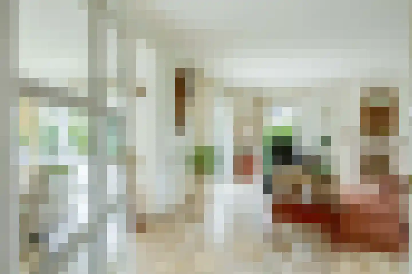 Het eenspan 4 Steenwijk thumbnail 11