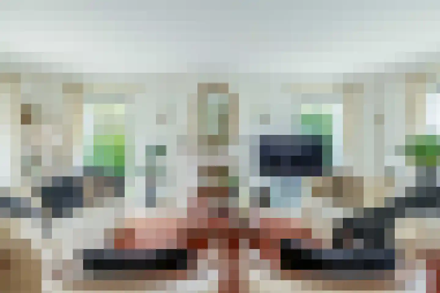 Het eenspan 4 Steenwijk thumbnail 13