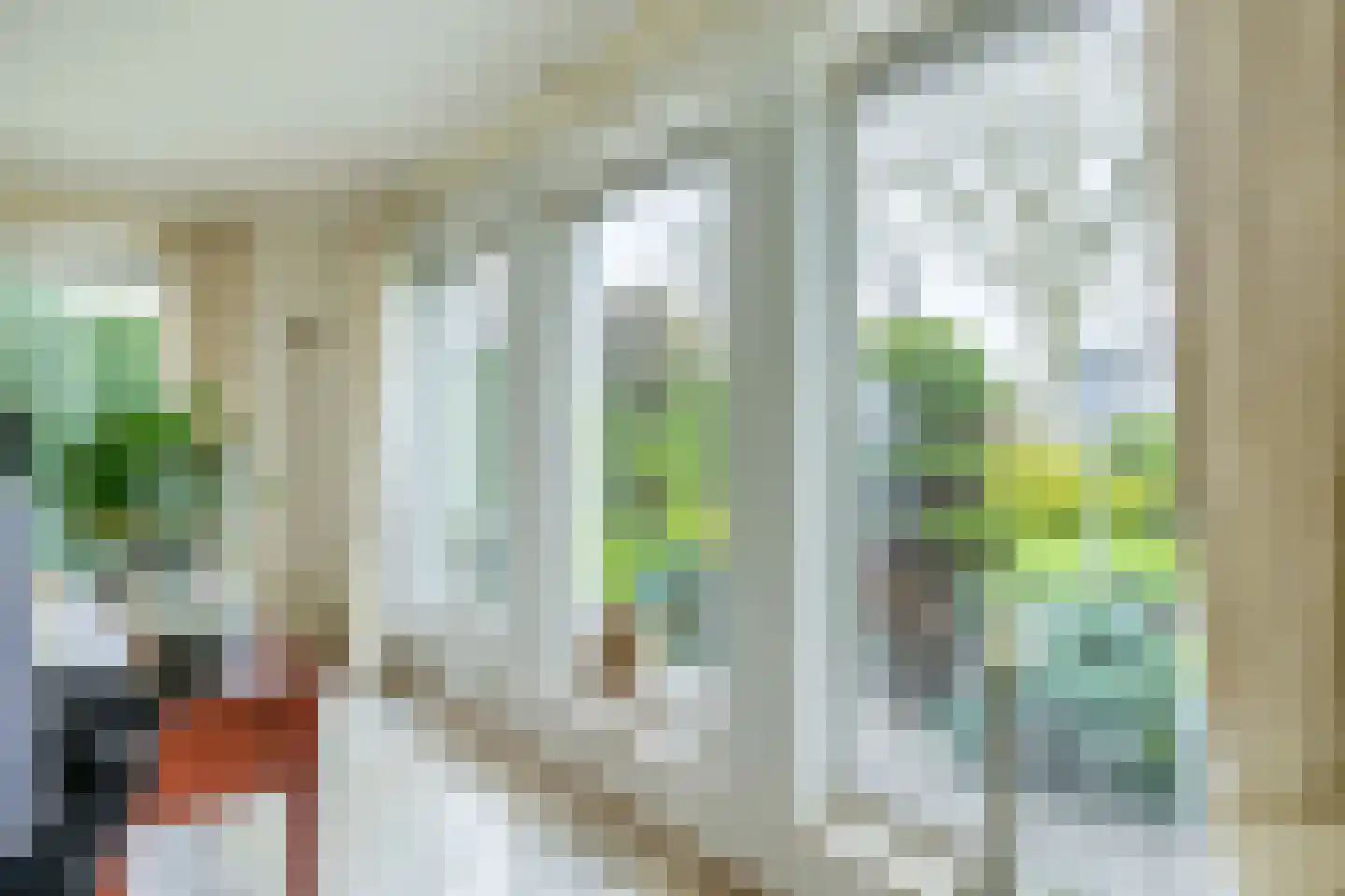 Het eenspan 4 Steenwijk thumbnail 14