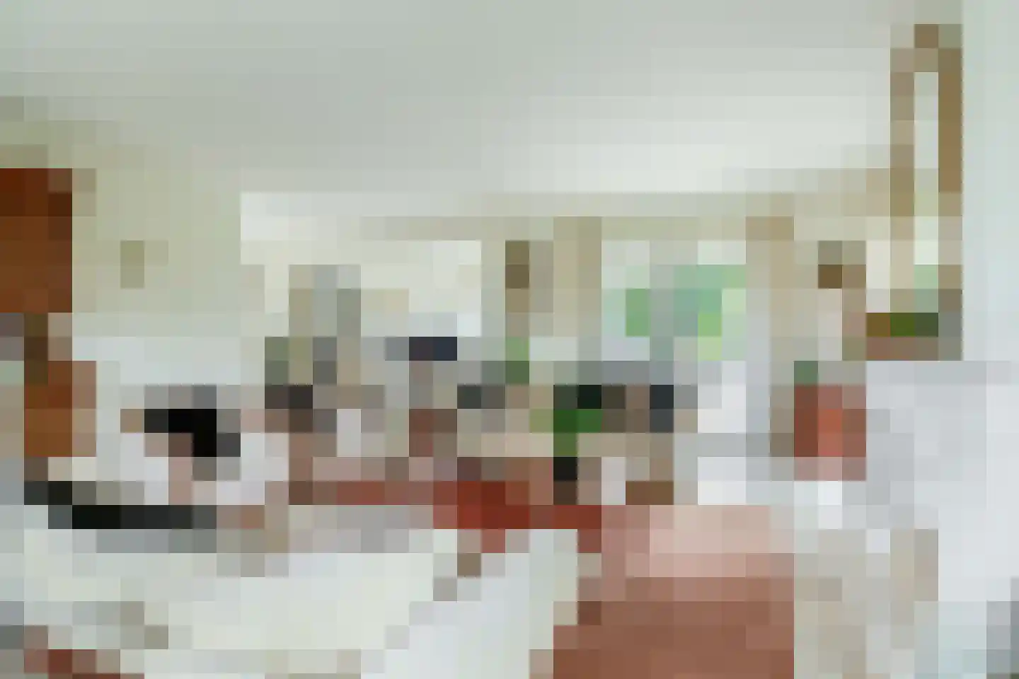 Het eenspan 4 Steenwijk thumbnail 15