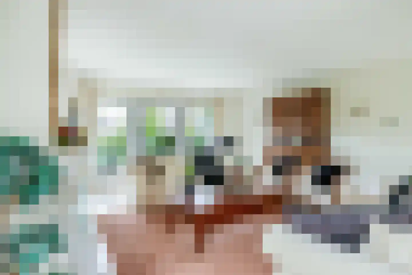 Het eenspan 4 Steenwijk thumbnail 16