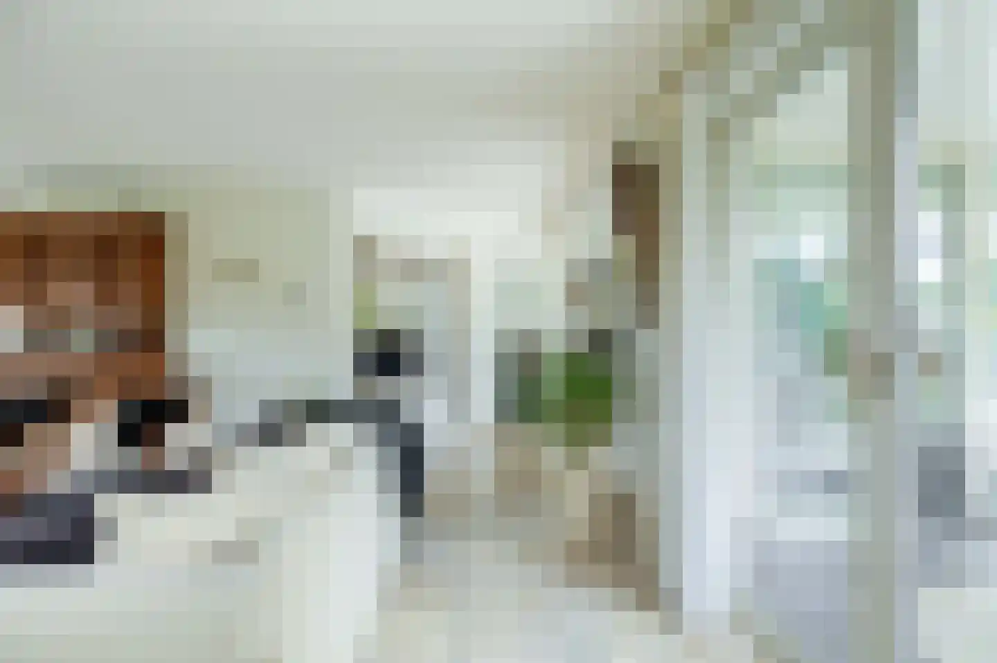 Het eenspan 4 Steenwijk thumbnail 18