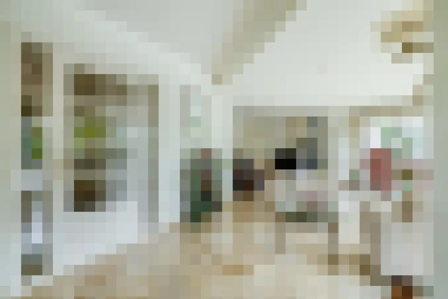 Het eenspan 4 Steenwijk thumbnail 19