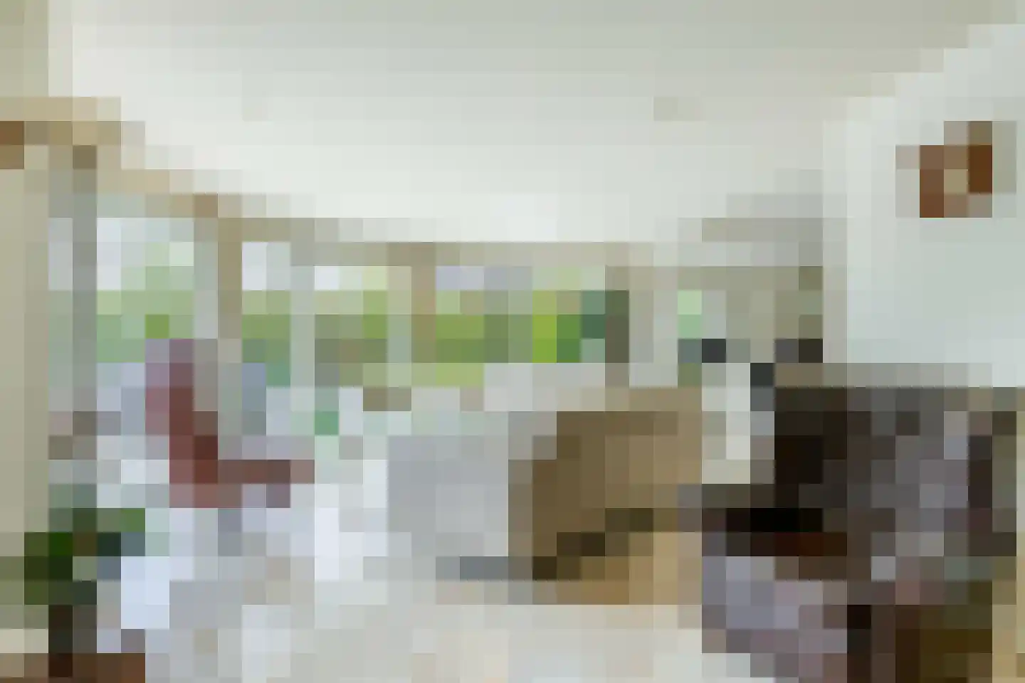 Het eenspan 4 Steenwijk foto 2