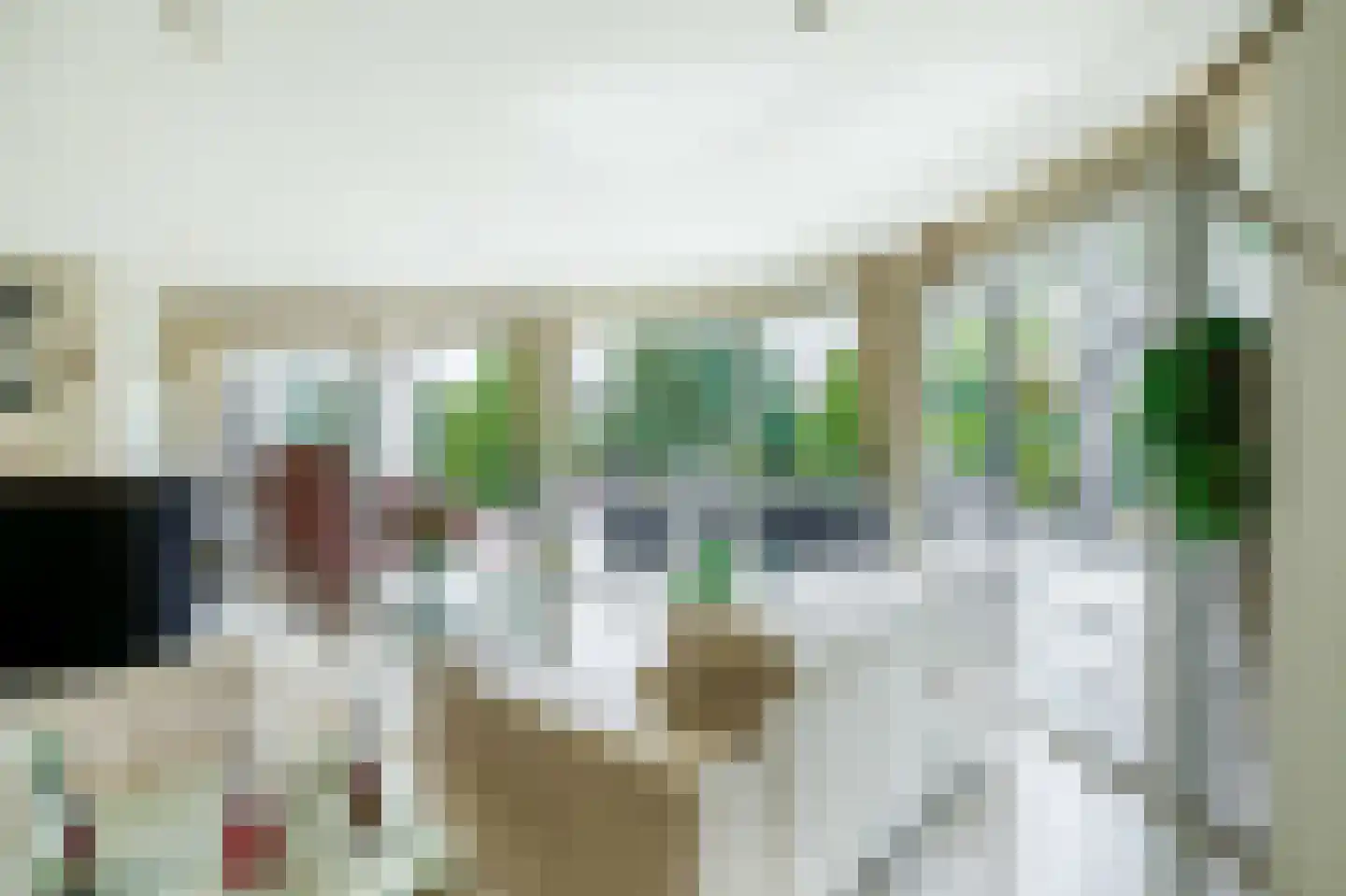 Het eenspan 4 Steenwijk thumbnail 20