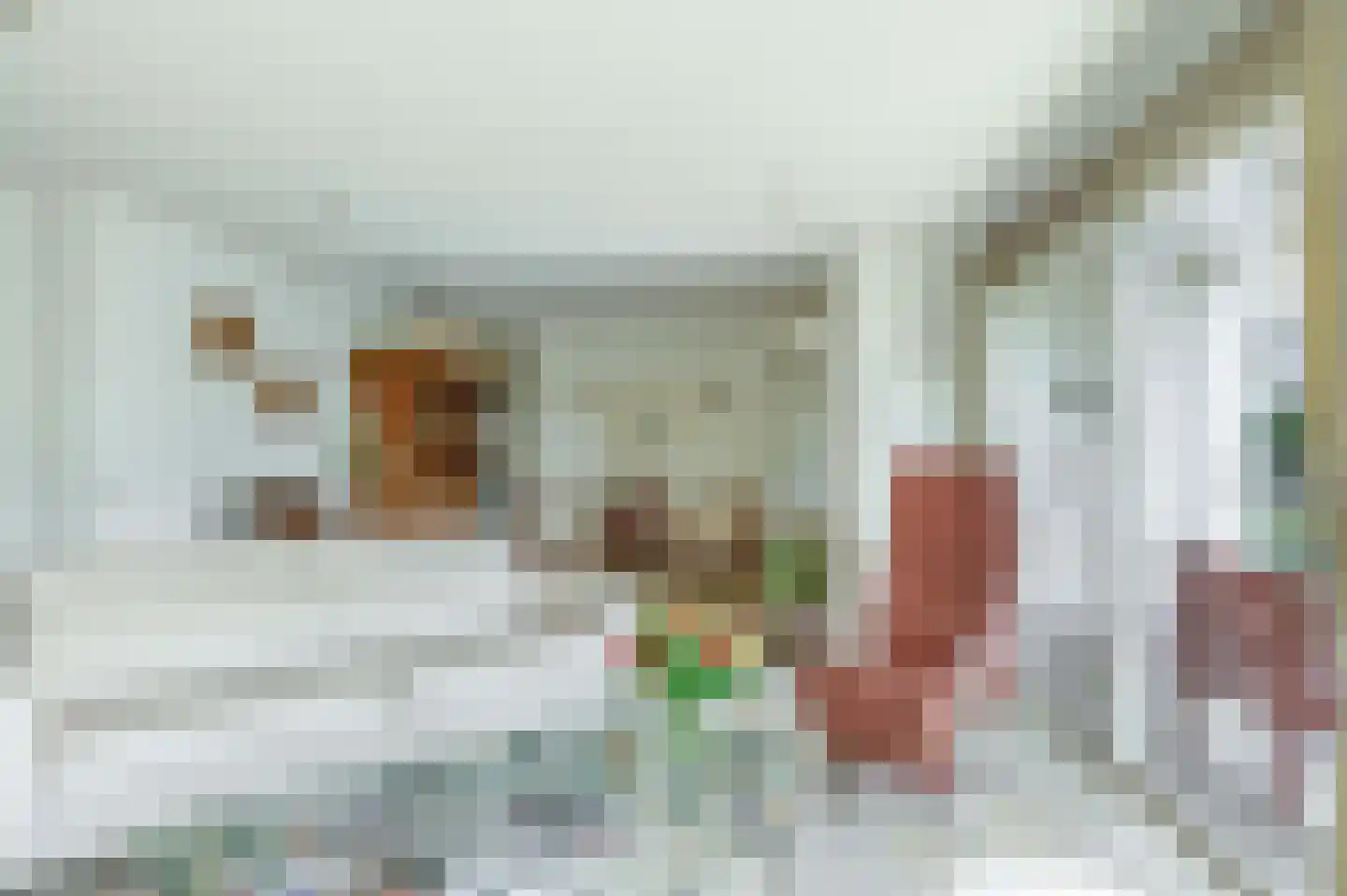 Het eenspan 4 Steenwijk thumbnail 22