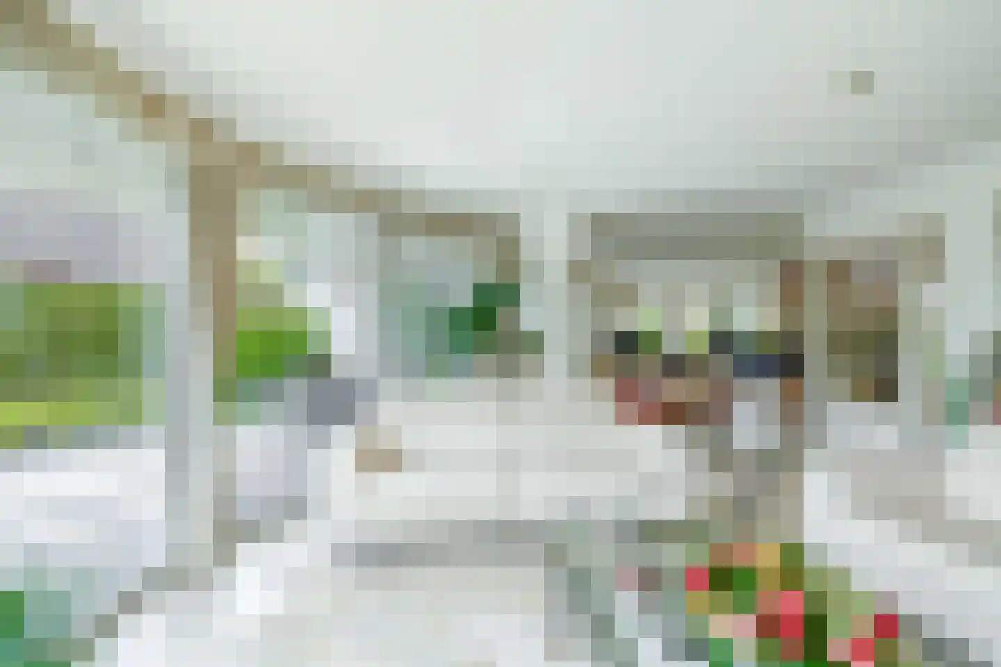 Het eenspan 4 Steenwijk thumbnail 23