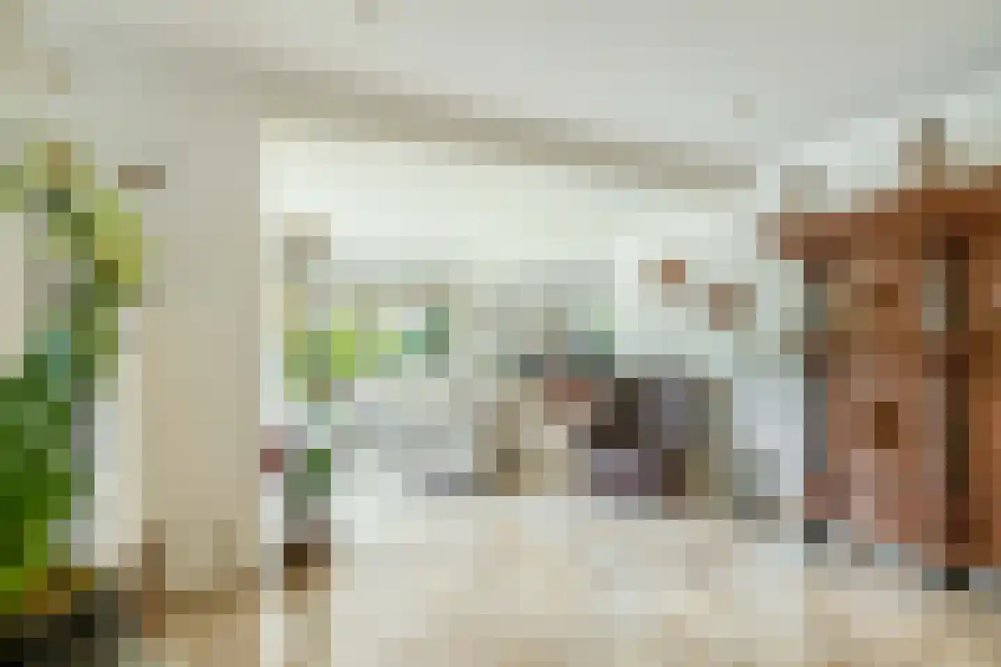 Het eenspan 4 Steenwijk thumbnail 24