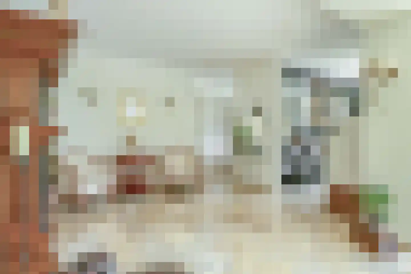 Het eenspan 4 Steenwijk thumbnail 25