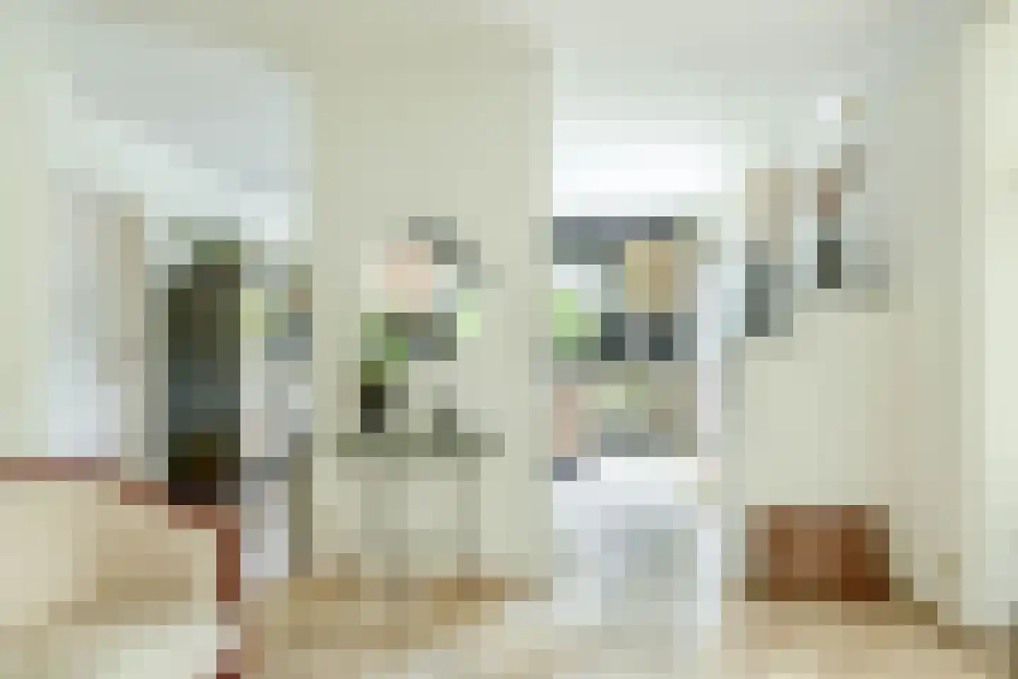 Het eenspan 4 Steenwijk thumbnail 26