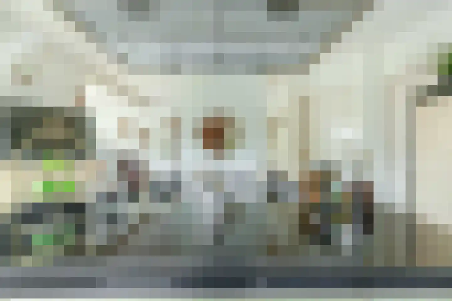 Het eenspan 4 Steenwijk thumbnail 29