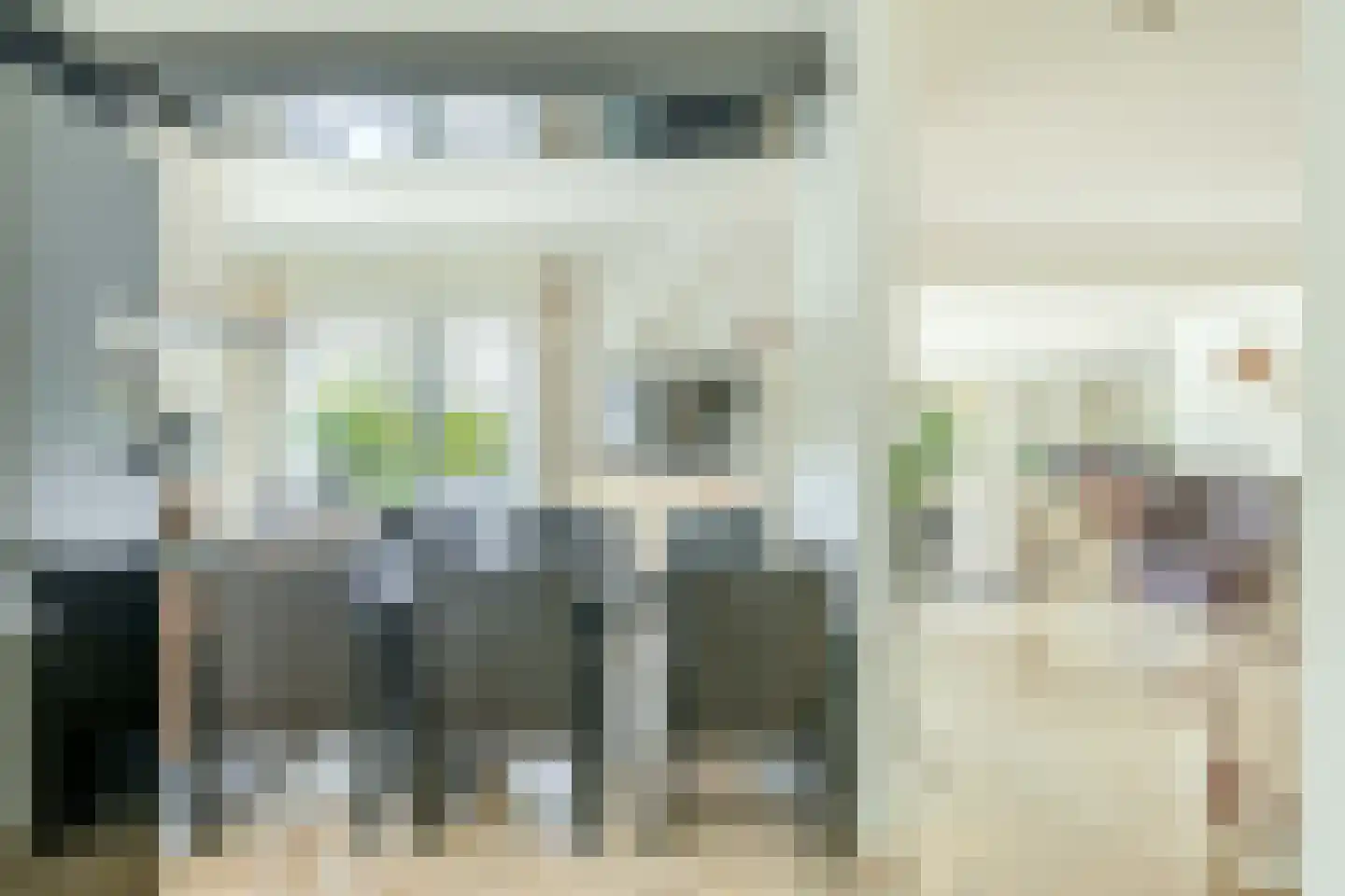 Het eenspan 4 Steenwijk thumbnail 31