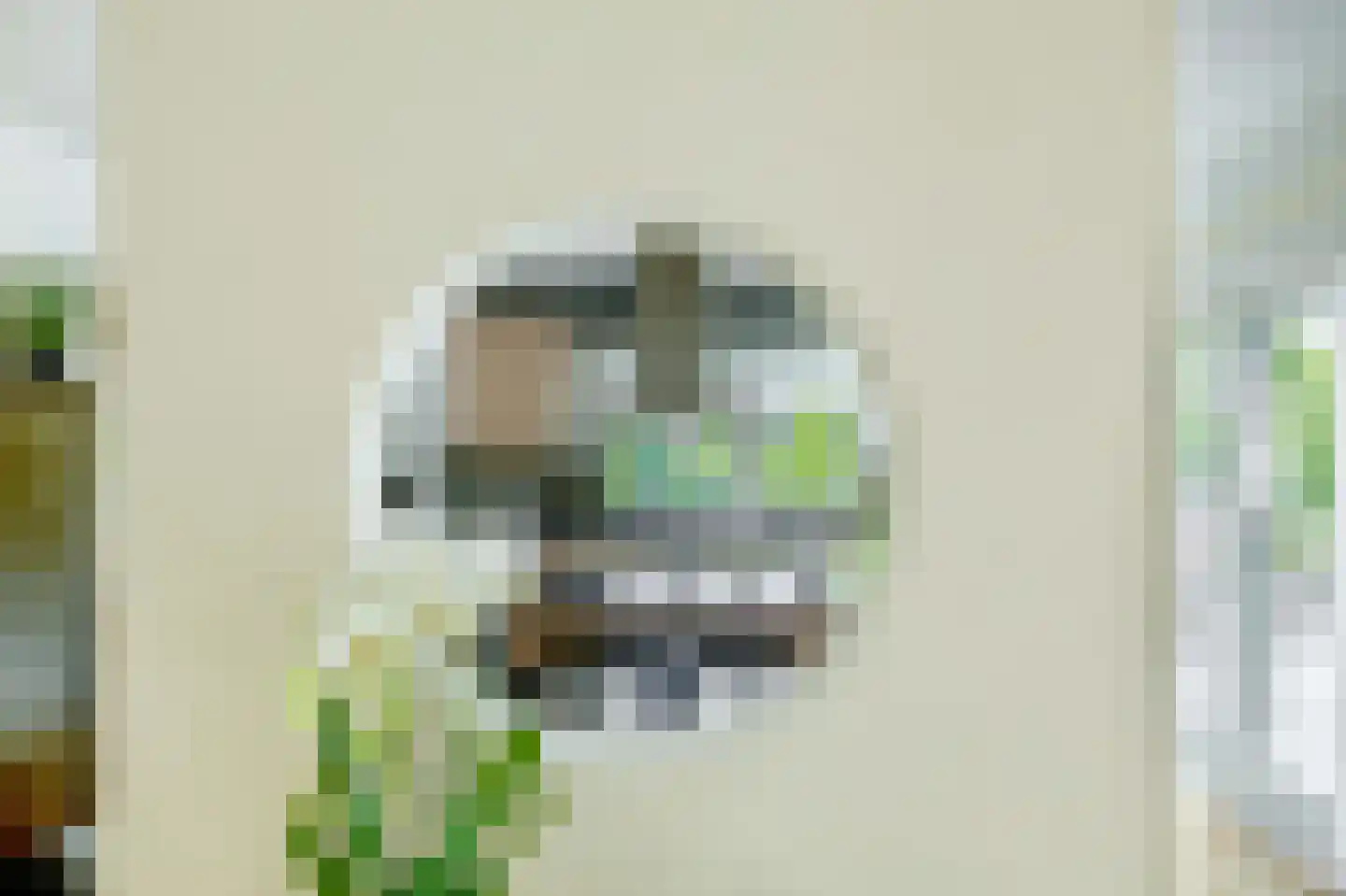 Het eenspan 4 Steenwijk thumbnail 32