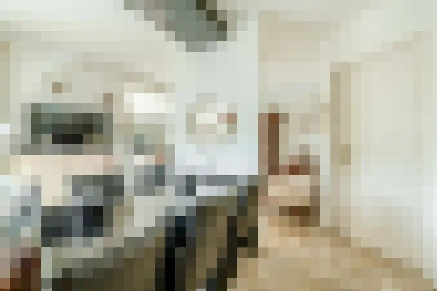 Het eenspan 4 Steenwijk thumbnail 33