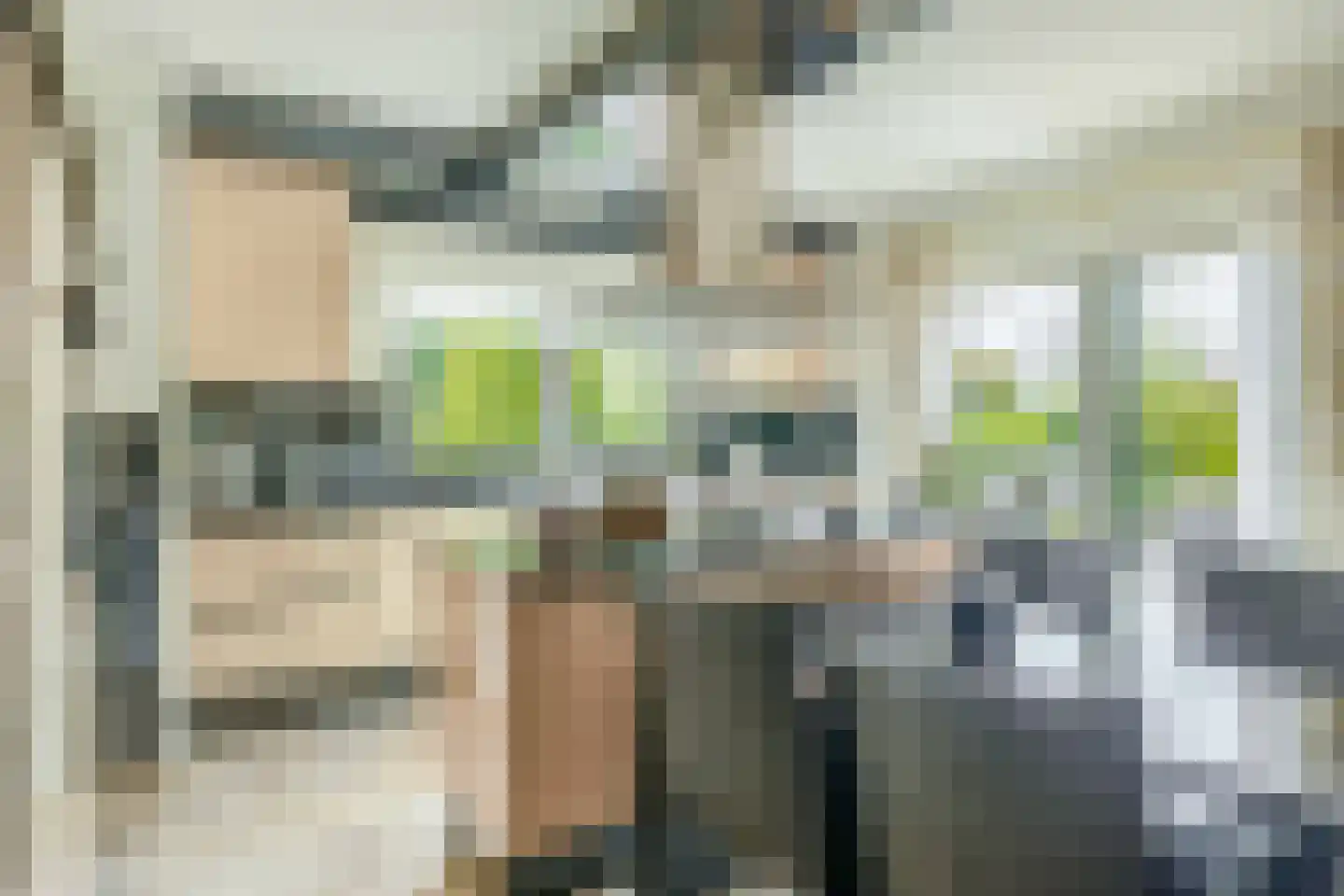Het eenspan 4 Steenwijk thumbnail 34