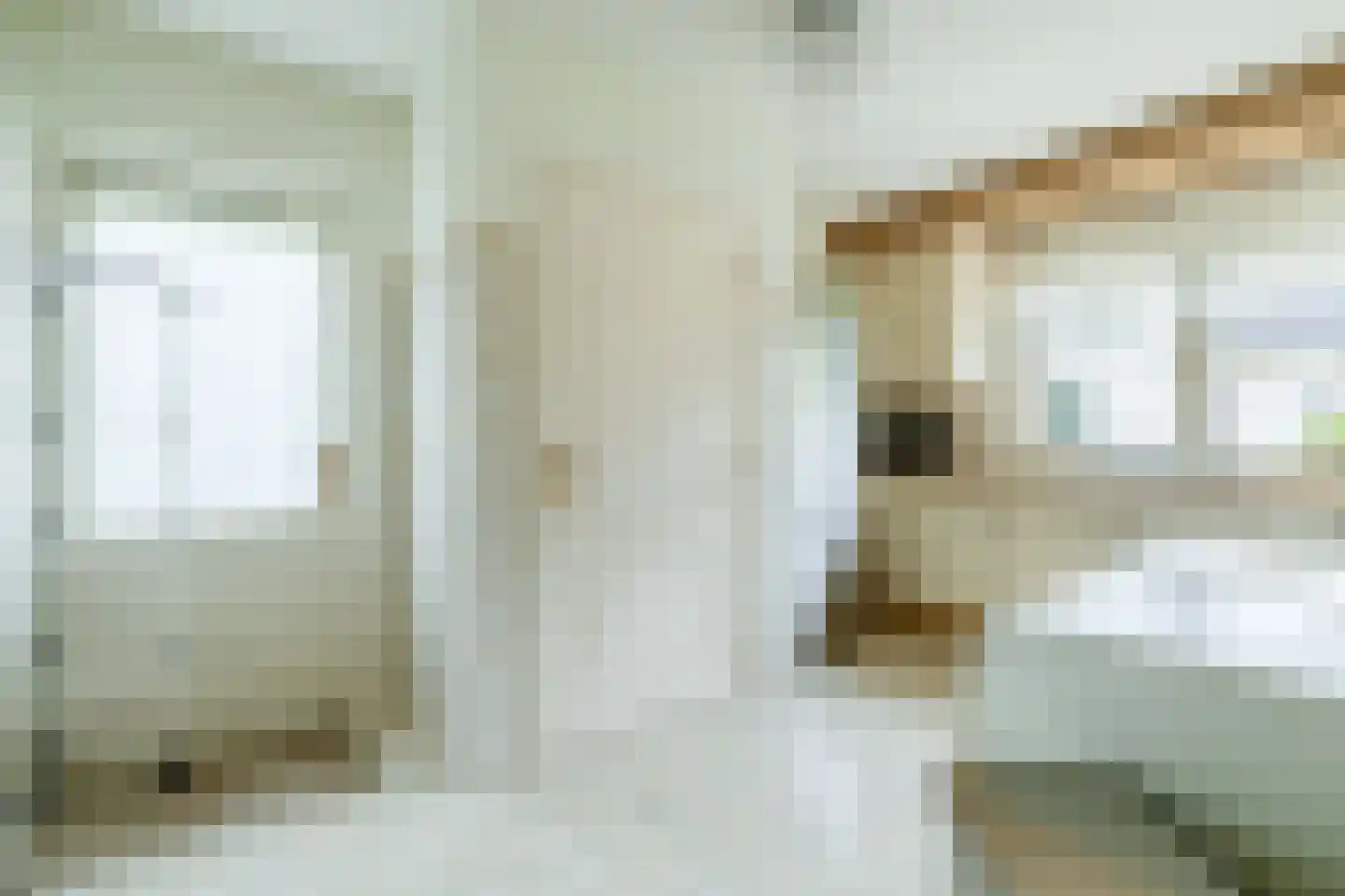 Het eenspan 4 Steenwijk thumbnail 35