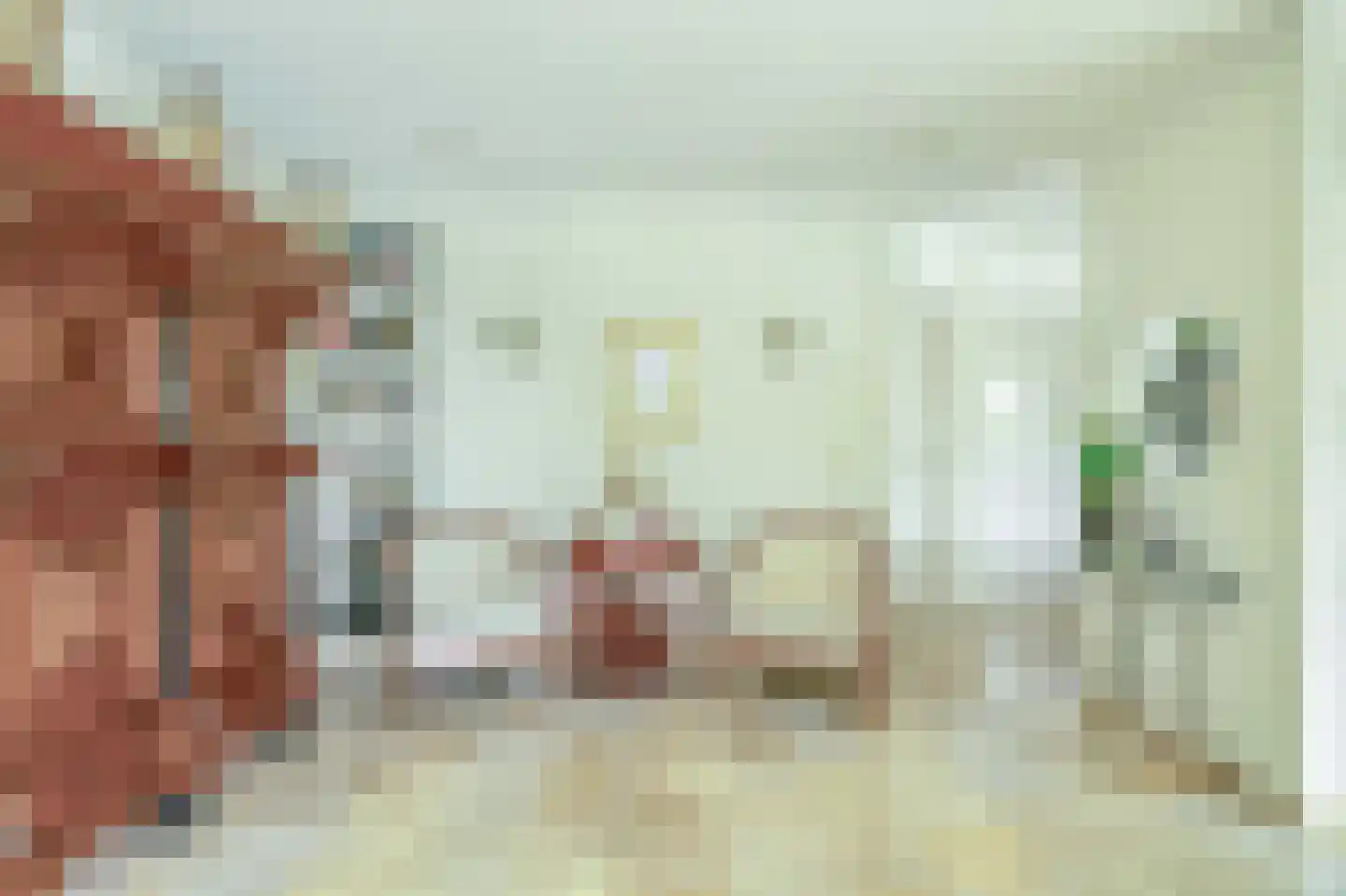 Het eenspan 4 Steenwijk thumbnail 37