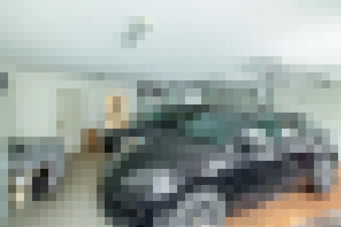 Het eenspan 4 Steenwijk thumbnail 40