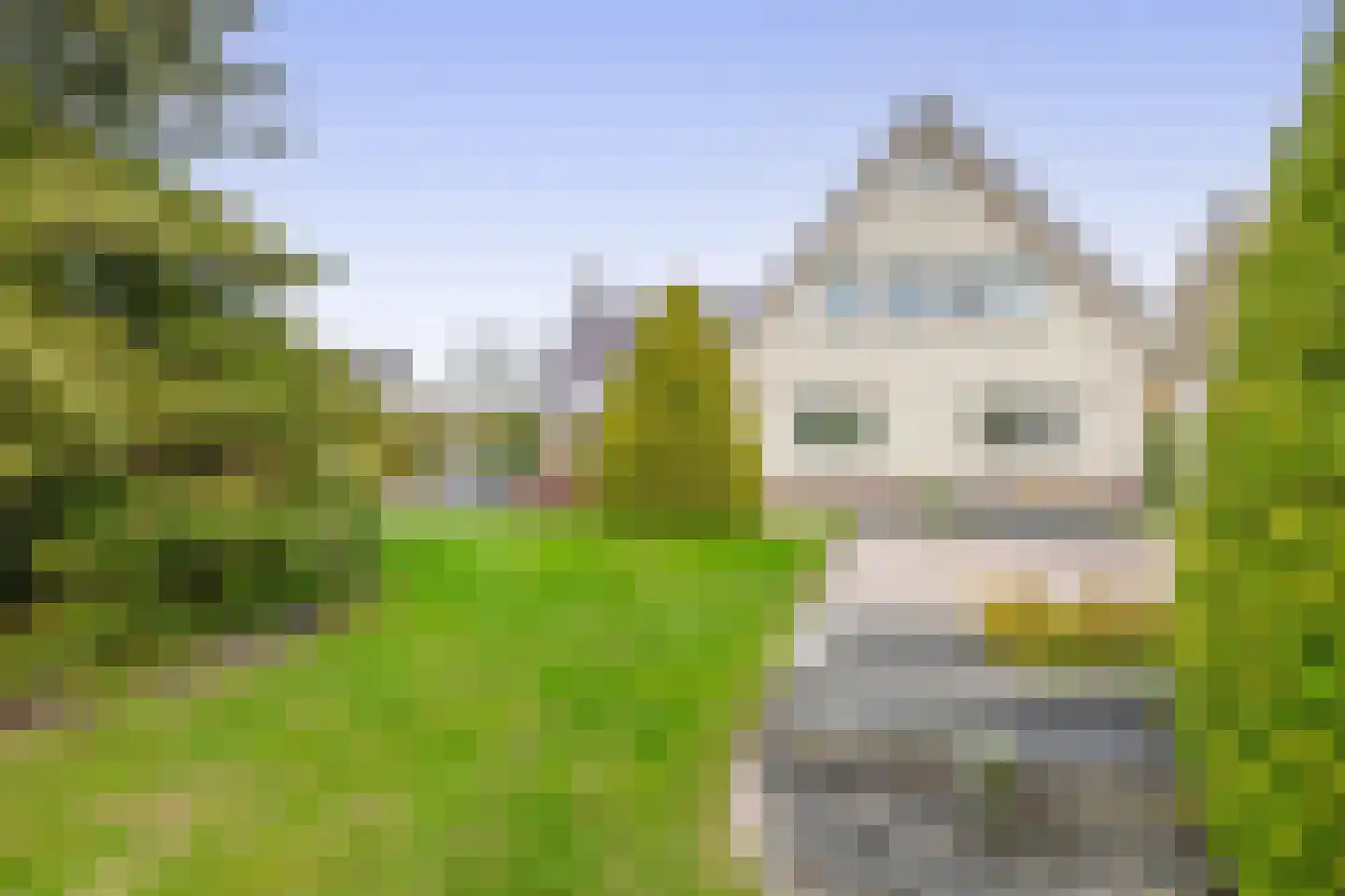 Het eenspan 4 Steenwijk thumbnail 41